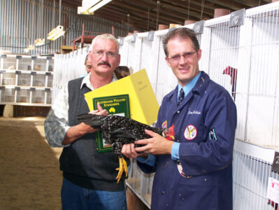 Eat These Birds to Keep Them Alive!: Developing Sustainable Poultry Flocks Image